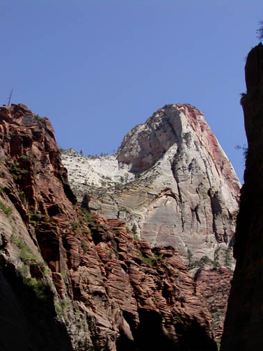 Zion narrows cliffs