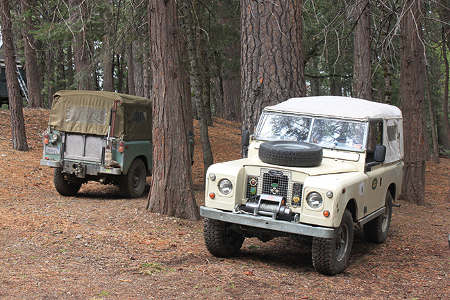 Series Land Rovers