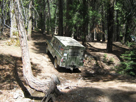 Series IIA station wagon on trail