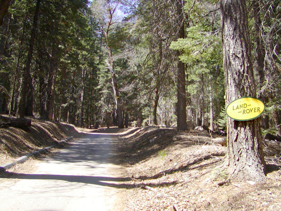 The entrance to Cedar camp