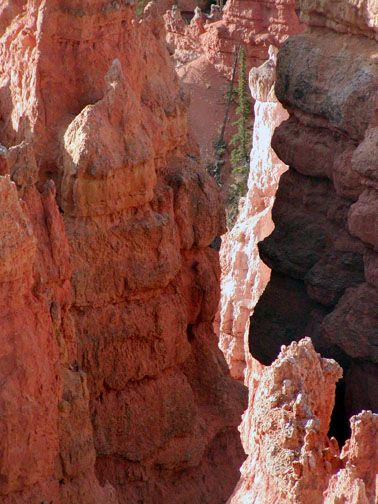 Bryce National Park