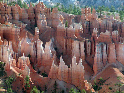 Bryce National Park