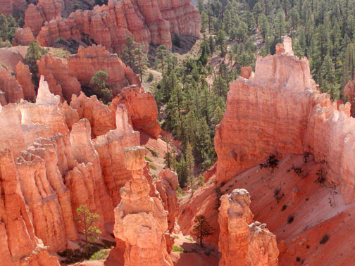 Bryce National Park