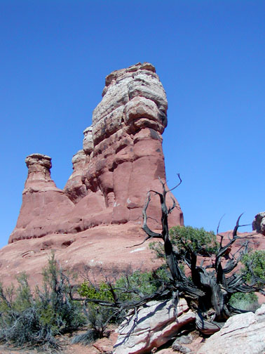 Butte in Arches 08
